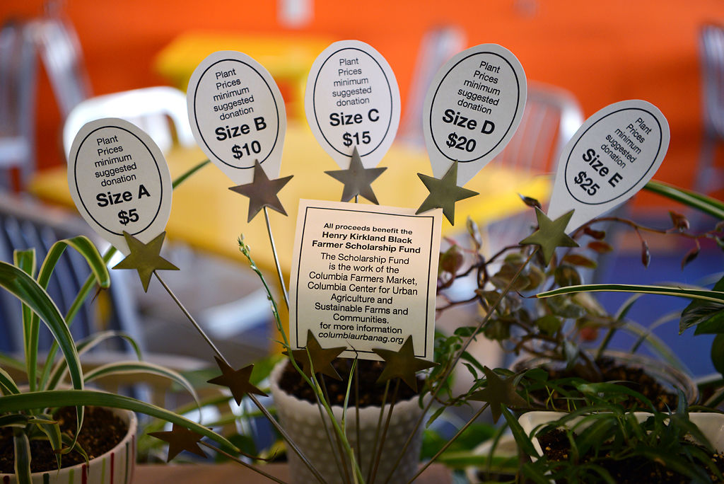 Tags showing the suggested minimum donation on Monday at the plant sale at Main Squeeze Natural Foods Cafe